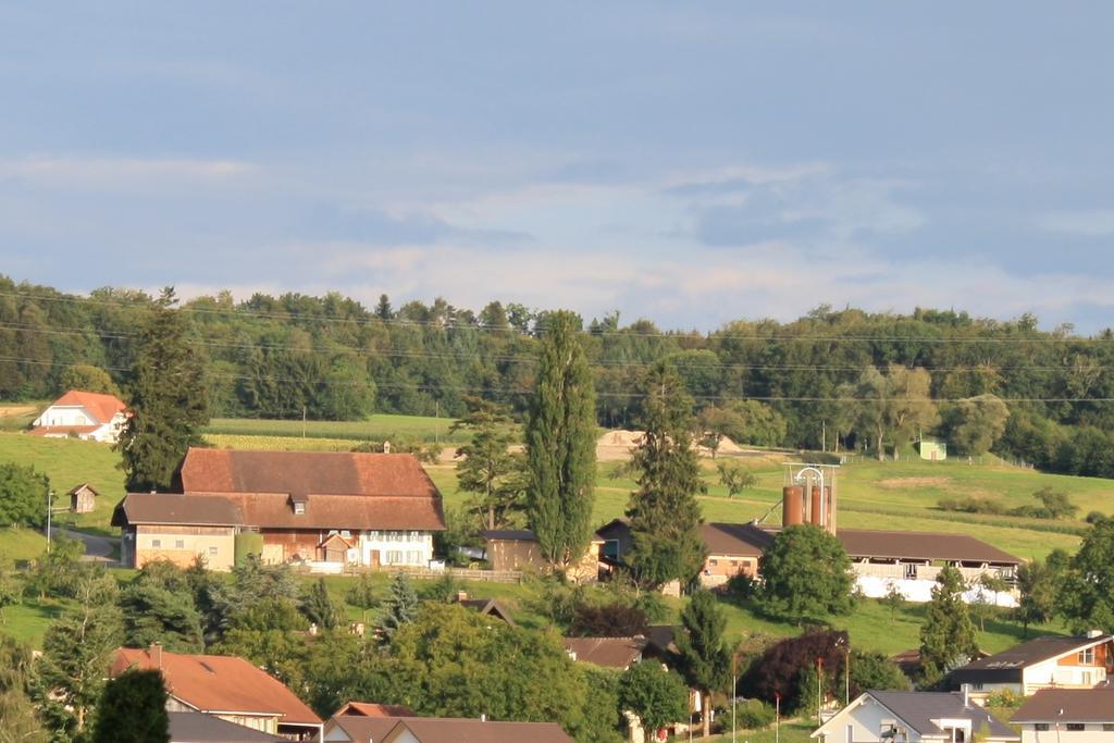 Hof Oberprehl Apartamento Murten Exterior foto